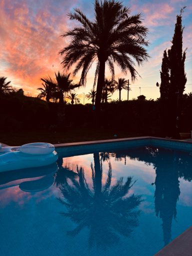 Pool und Palme