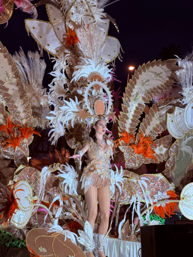 Karneval in Vinaros